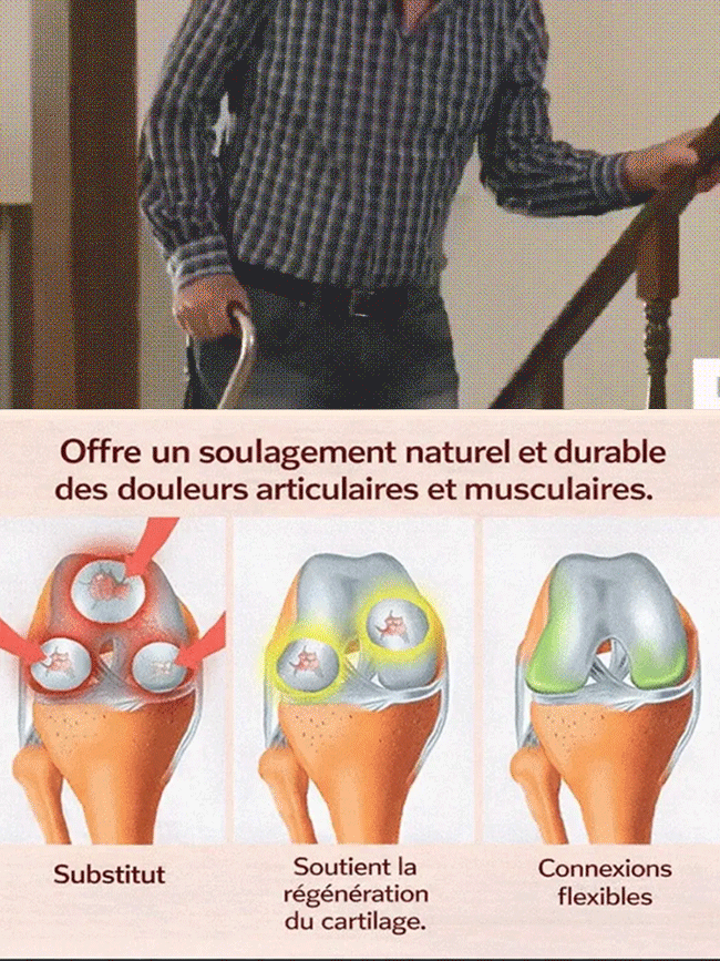 Plant de cerisier à fructification rapide